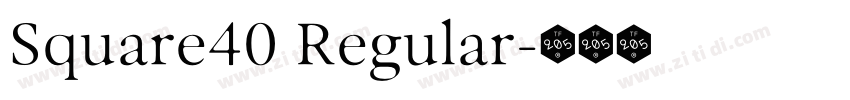 Square40 Regular字体转换 Square40 Regular字体转换